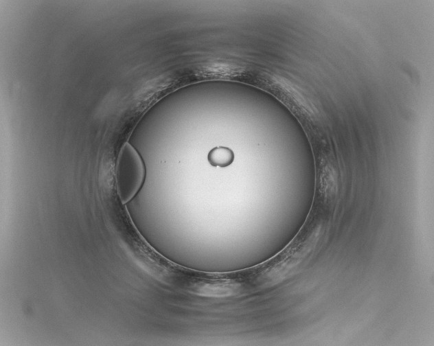 X0000116290459200911301422