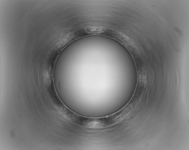 X0000116290460200911301422