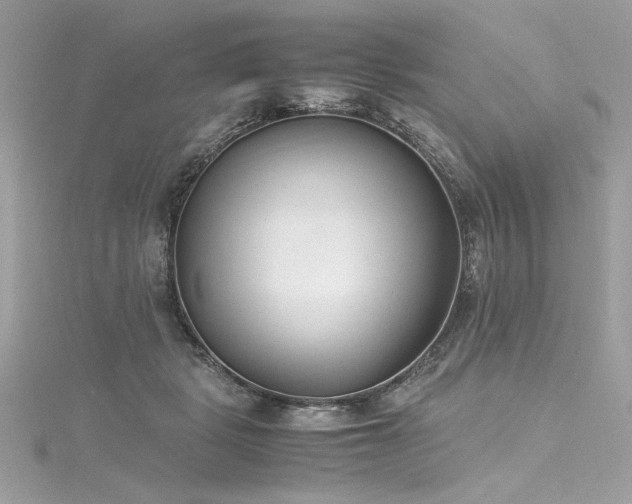 X0000116290461200911301422