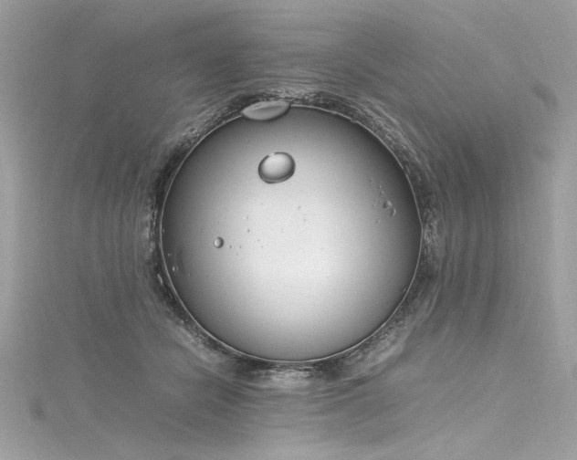 X0000116290462200911301422