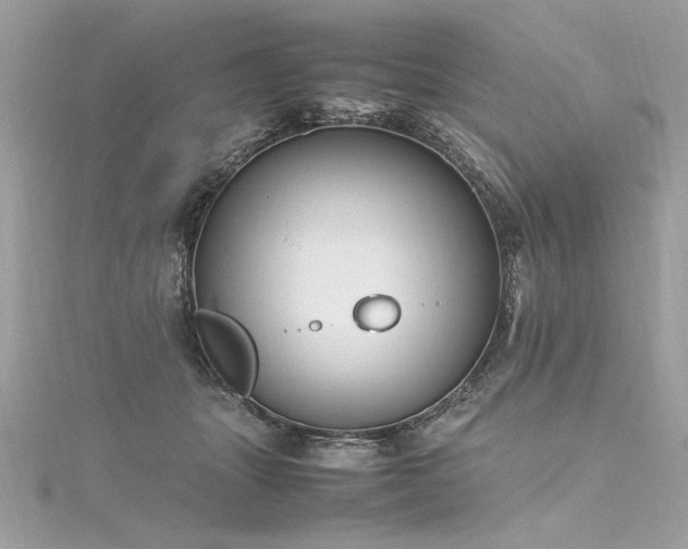 X0000116290463200911301422