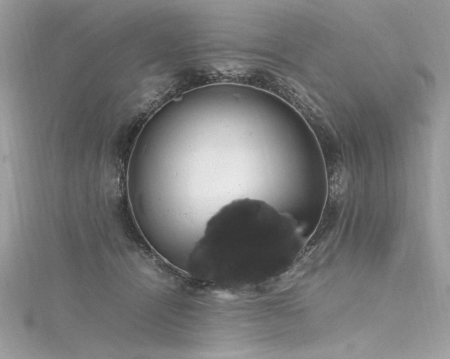 X0000116290464200911301422