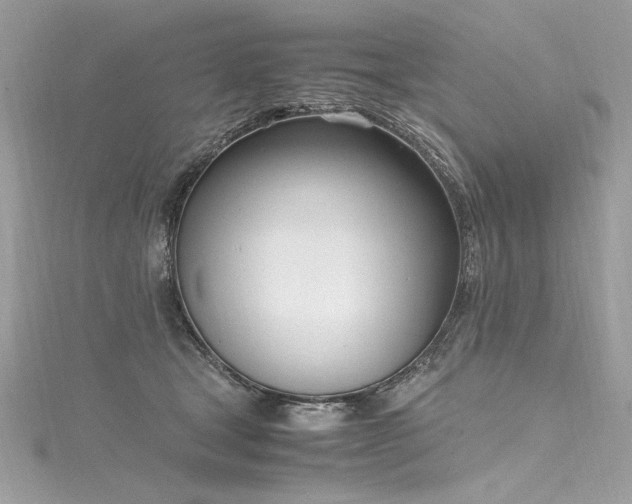 X0000116290465200911301422