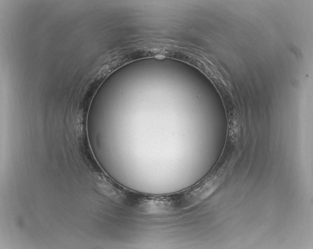 X0000116290466200911301422