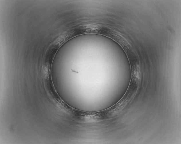 X0000116290468200911301422