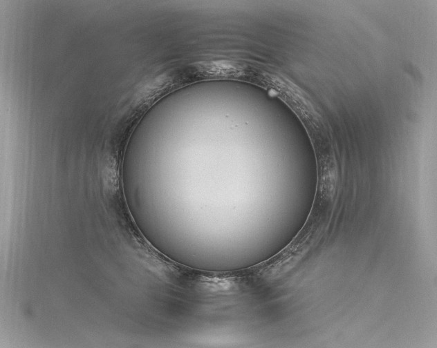 X0000116290469200911301422