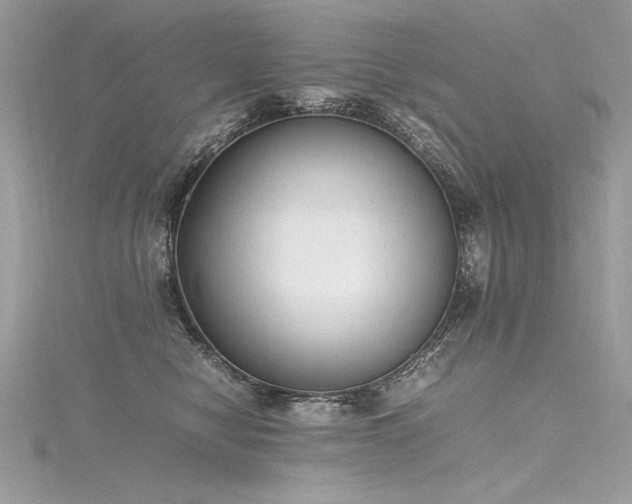 X0000116290470200911301422