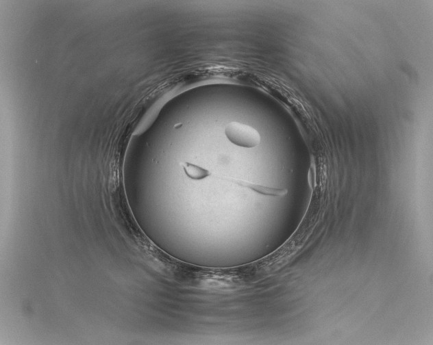 X0000116290471200911301422