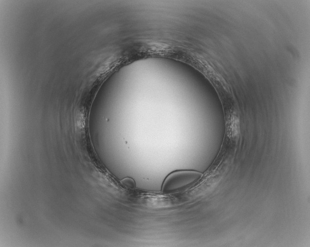 X0000116290472200911301422