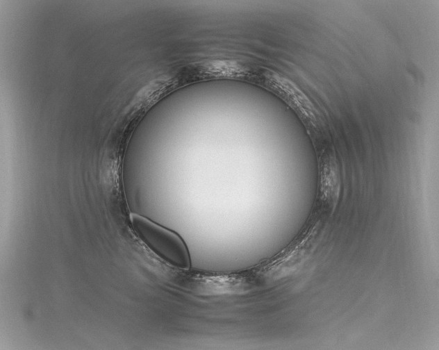 X0000116290473200911301422