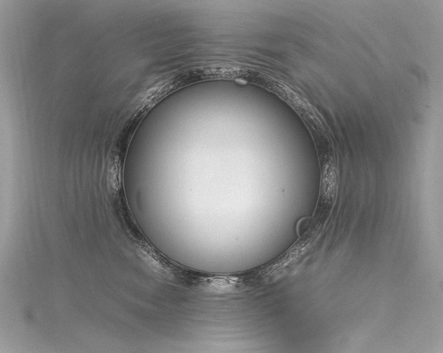 X0000116290474200911301423