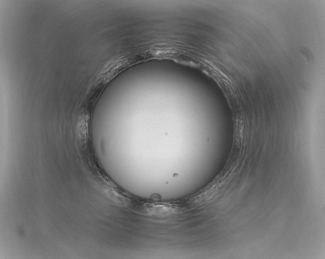 X0000116290475200911301423