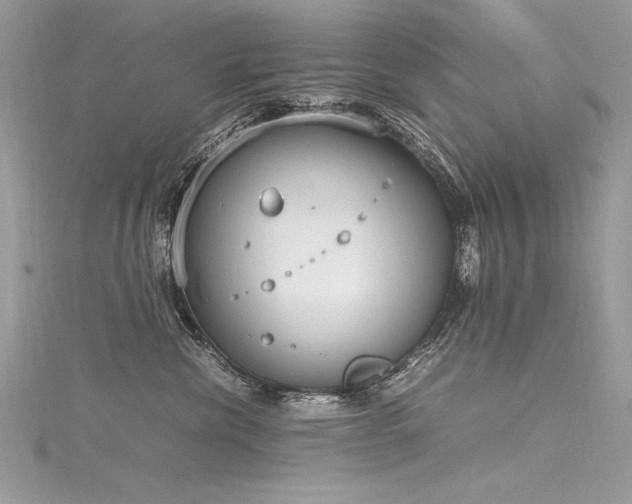 X0000116290476200911301423