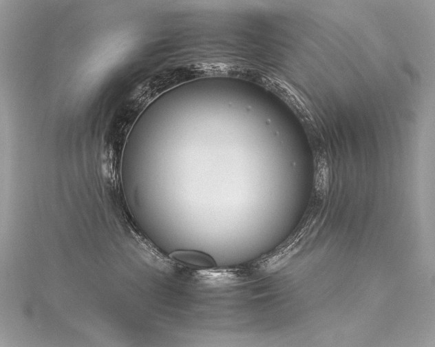 X0000116290477200911301423