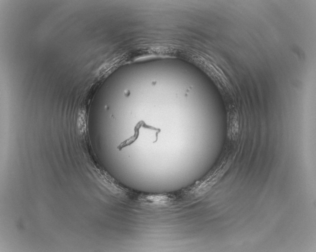 X0000116290478200911301423