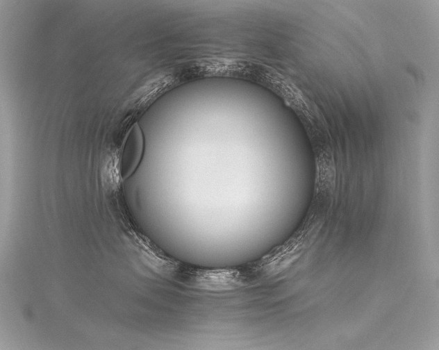 X0000116290479200911301423