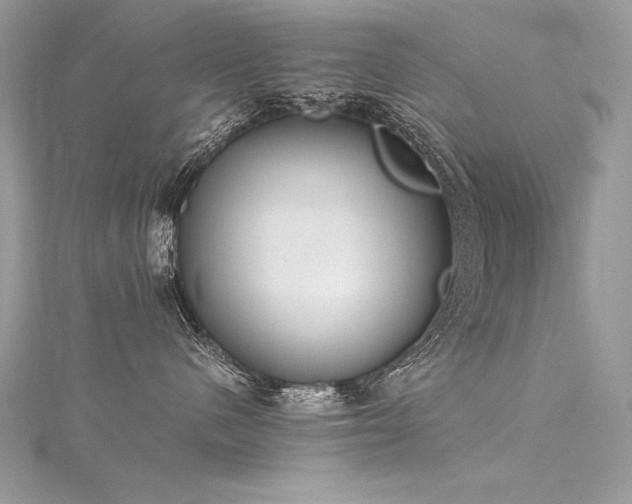 X0000116290480200911301423