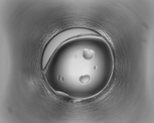 X0000116290481200911301422