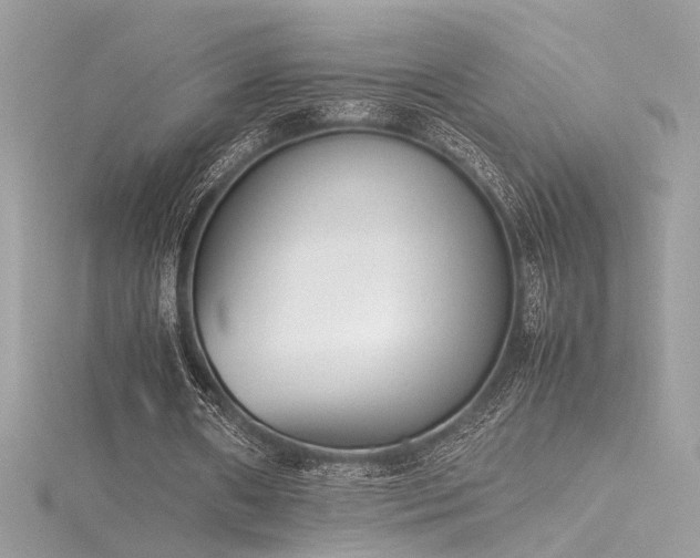 X0000116290482200911301422