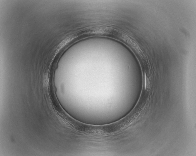 X0000116290483200911301422