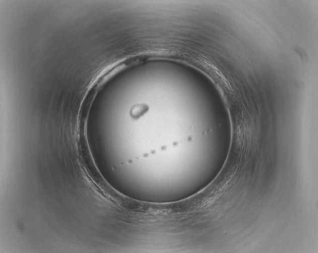 X0000116290484200911301422