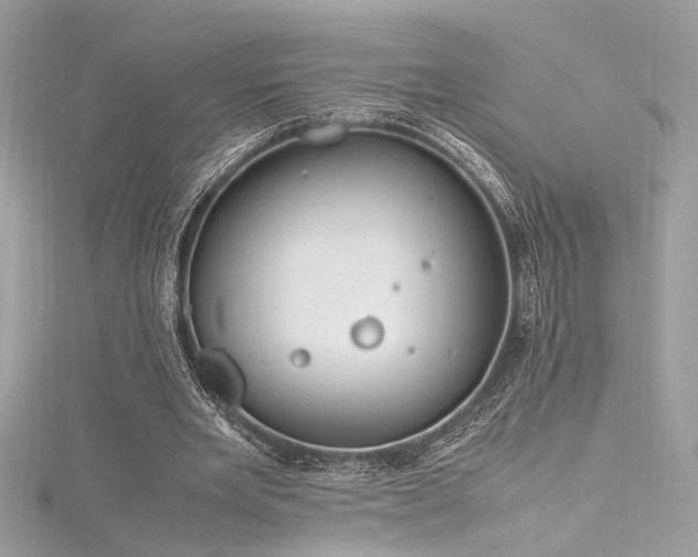 X0000116290485200911301422