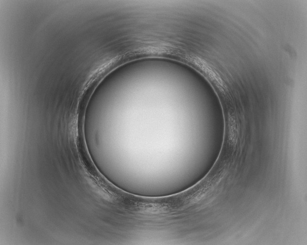 X0000116290486200911301422