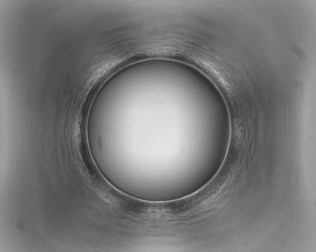 X0000116290487200911301422