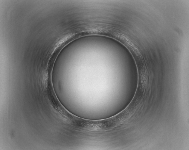 X0000116290488200911301422