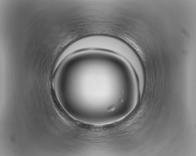 X0000116290489200911301422