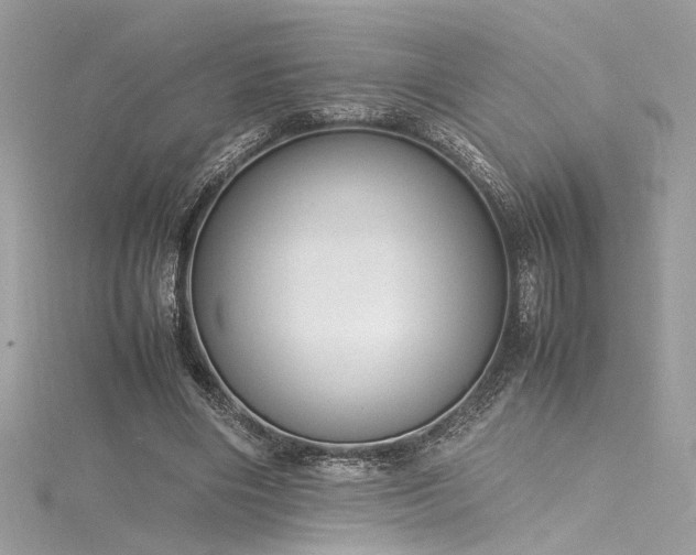 X0000116290490200911301422