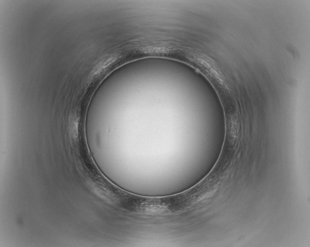 X0000116290491200911301422