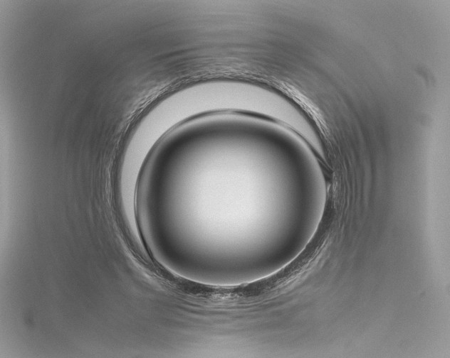 X0000116290493200911301422