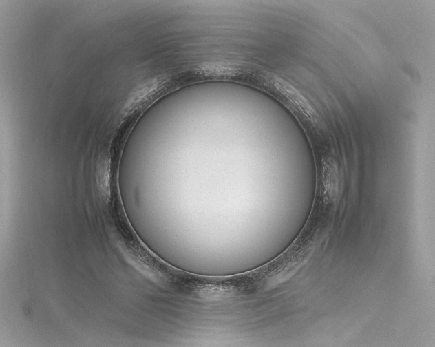 X0000116290494200911301422