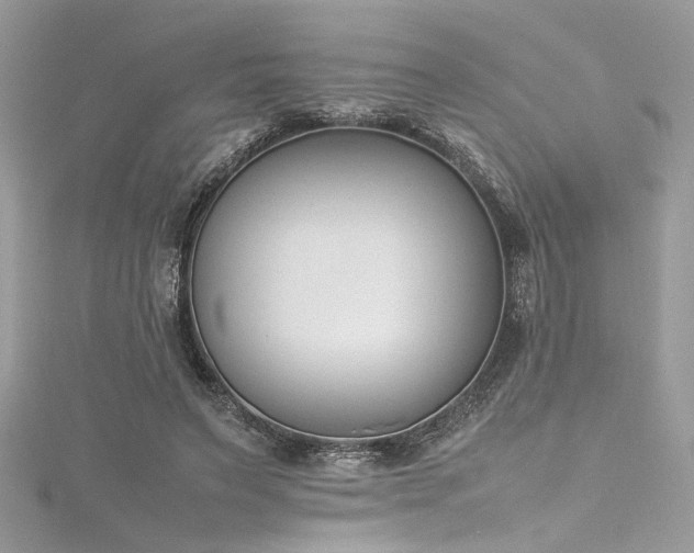 X0000116290495200911301422