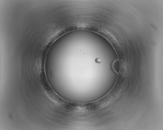 X0000116290496200911301422