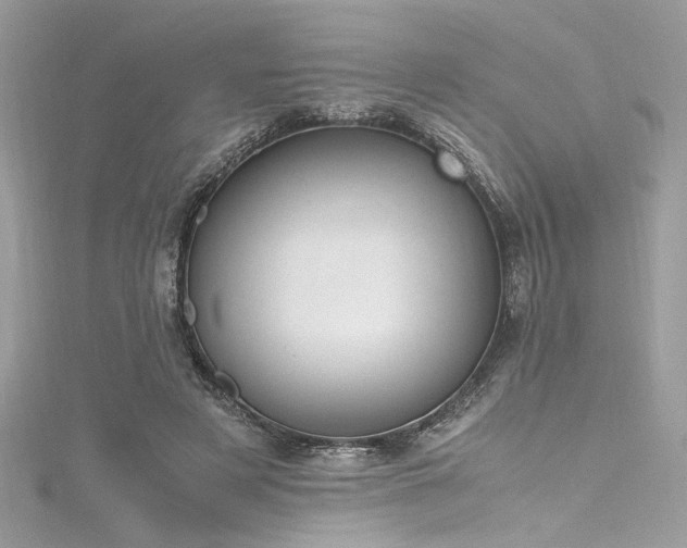 X0000116290497200911301422