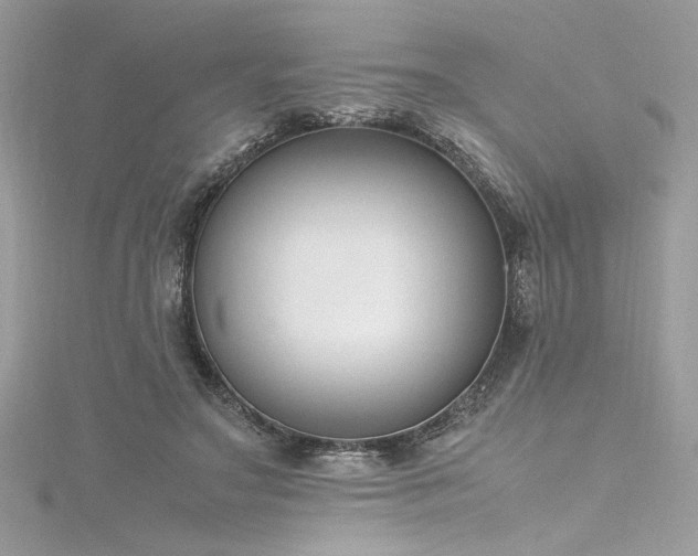 X0000116290499200911301422