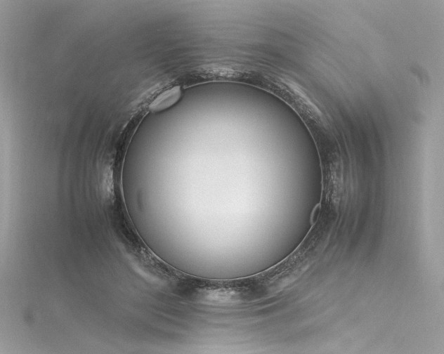 X0000116290500200911301422