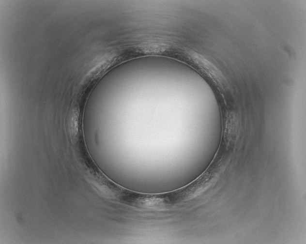 X0000116290501200911301422