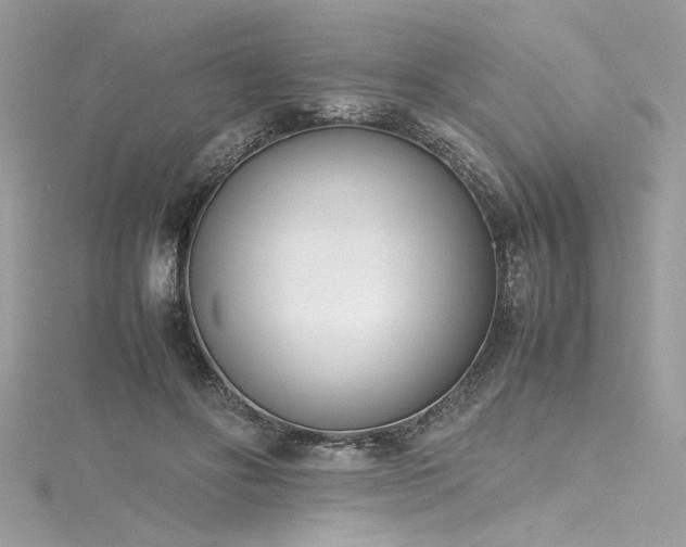 X0000116290502200911301422