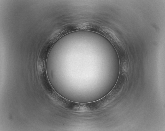 X0000116290503200911301422