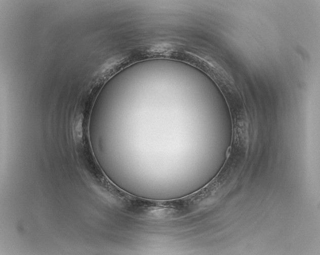 X0000116290504200911301422