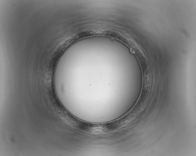 X0000116290505200911301422