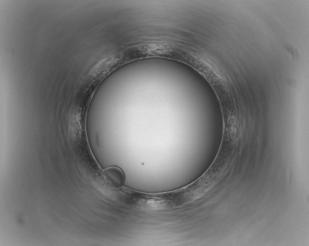 X0000116290506200911301422