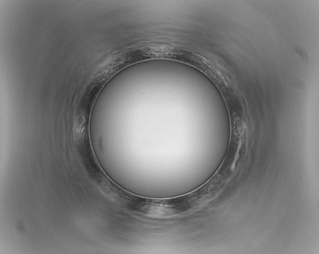 X0000116290507200911301422