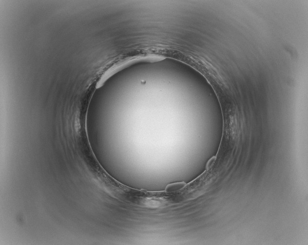 X0000116290508200911301422