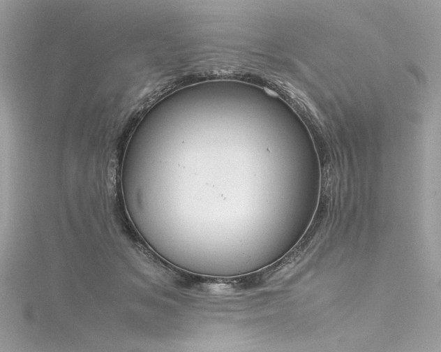 X0000116290509200911301422