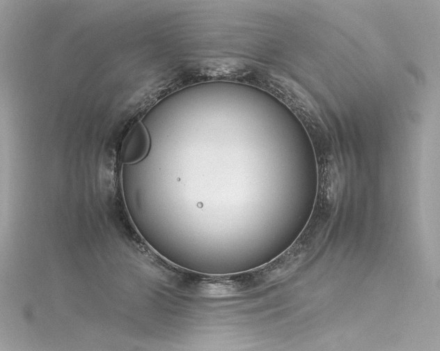 X0000116290510200911301422