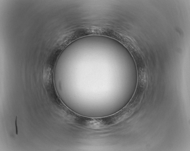 X0000116290511200911301422